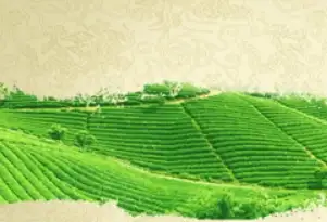 熊猫专列·成都号启航：移动的风景，城市的名片