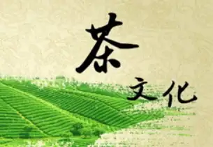 武林盛事！合浦县武术文化协会交流活动圆满落幕