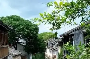 林口县文化馆助力活力全开·健康社区主题健身活动
