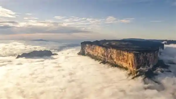 探秘平顶山上的天空之岛：失落的世界中藏匿着食肉植物的秘密花园