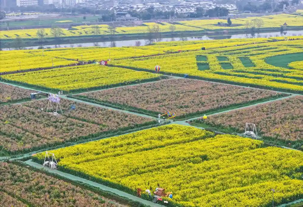 花开潼南丨以花为媒，绘就农文旅融合新画卷