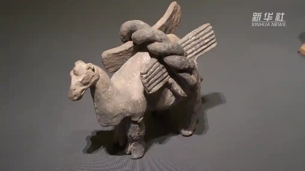 机场首设在地文物展示博物馆盛大揭幕
