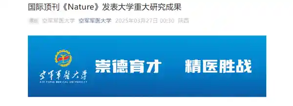 《全球首创！中国科学家成功实现基因编辑猪肝人体移植》