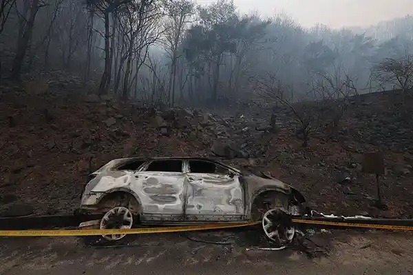 千年古刹毁于一旦！韩国史上最惨烈山火已致26人遇难，灭火希望竟寄托于天降甘霖