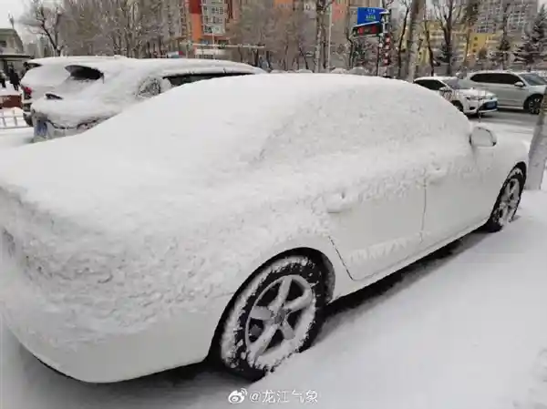三月末雪舞冰城：哈尔滨一夜重回冬日怀抱