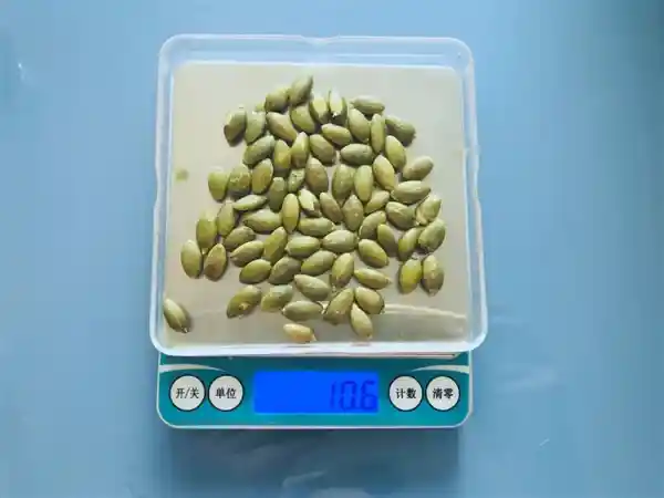 《南瓜籽爱好者福音：每天一小把，解锁意想不到的健康密码！》