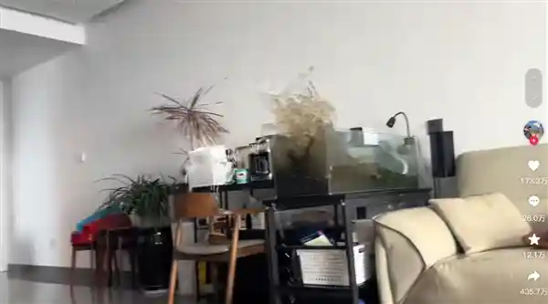 《7.9级强震来袭！云南瑞丽高楼墙体开裂，网友直呼楼摇摇欲坠》