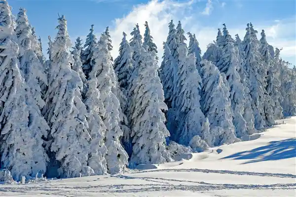 暴雪挑战极限：山航起降安全性的专业洞察