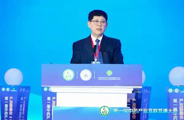 孙晓波：中药产业振兴的多维赋能之路
