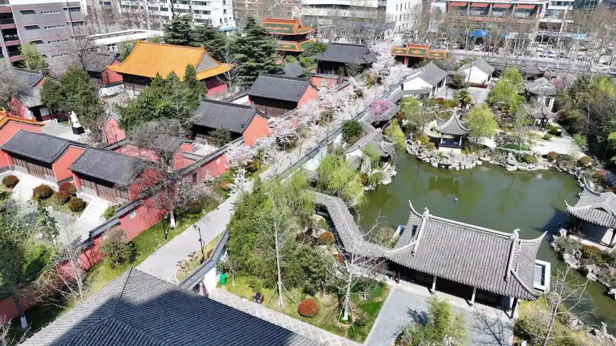 文化中国行｜春日花开映古建，书声百年传芳华——孔庙新韵