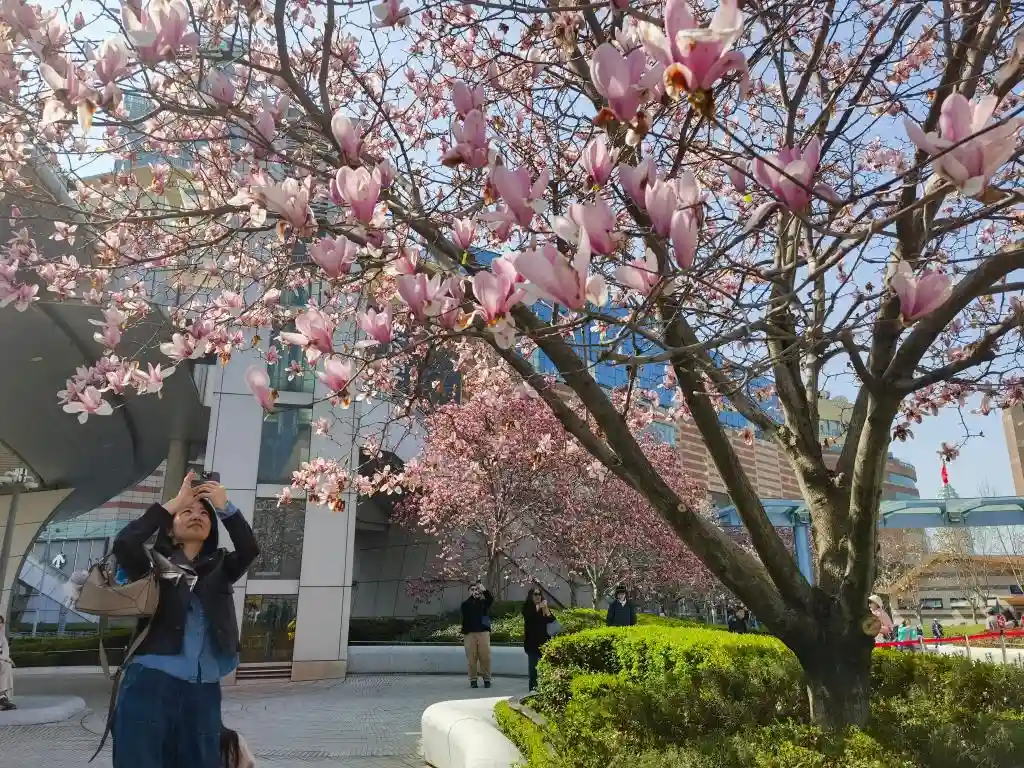 [+踏青计划：解锁文旅消费新潜能]