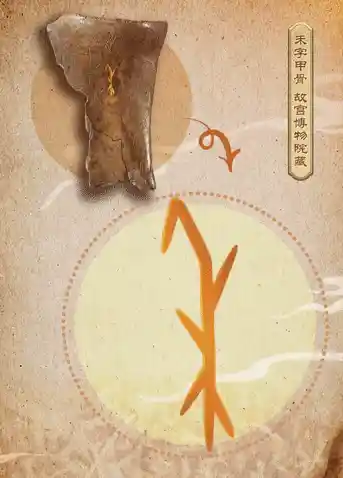《从甲骨文中解码古代农业智慧》