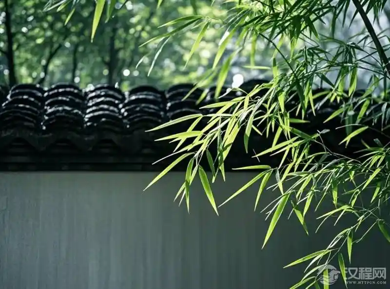 庭院东南角种竹，是催旺文昌还是改善微气候？揭秘背后的文化与科学