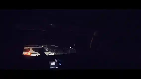夜袭可可西里｜直击熊影！暗夜守护者与野性生灵的惊险对峙