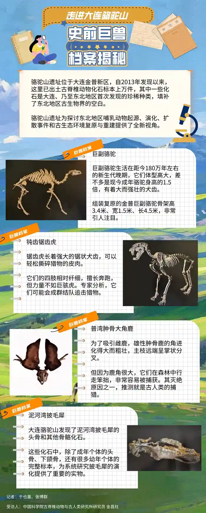 探秘大连骆驼山：史前巨兽惊现尘封档案