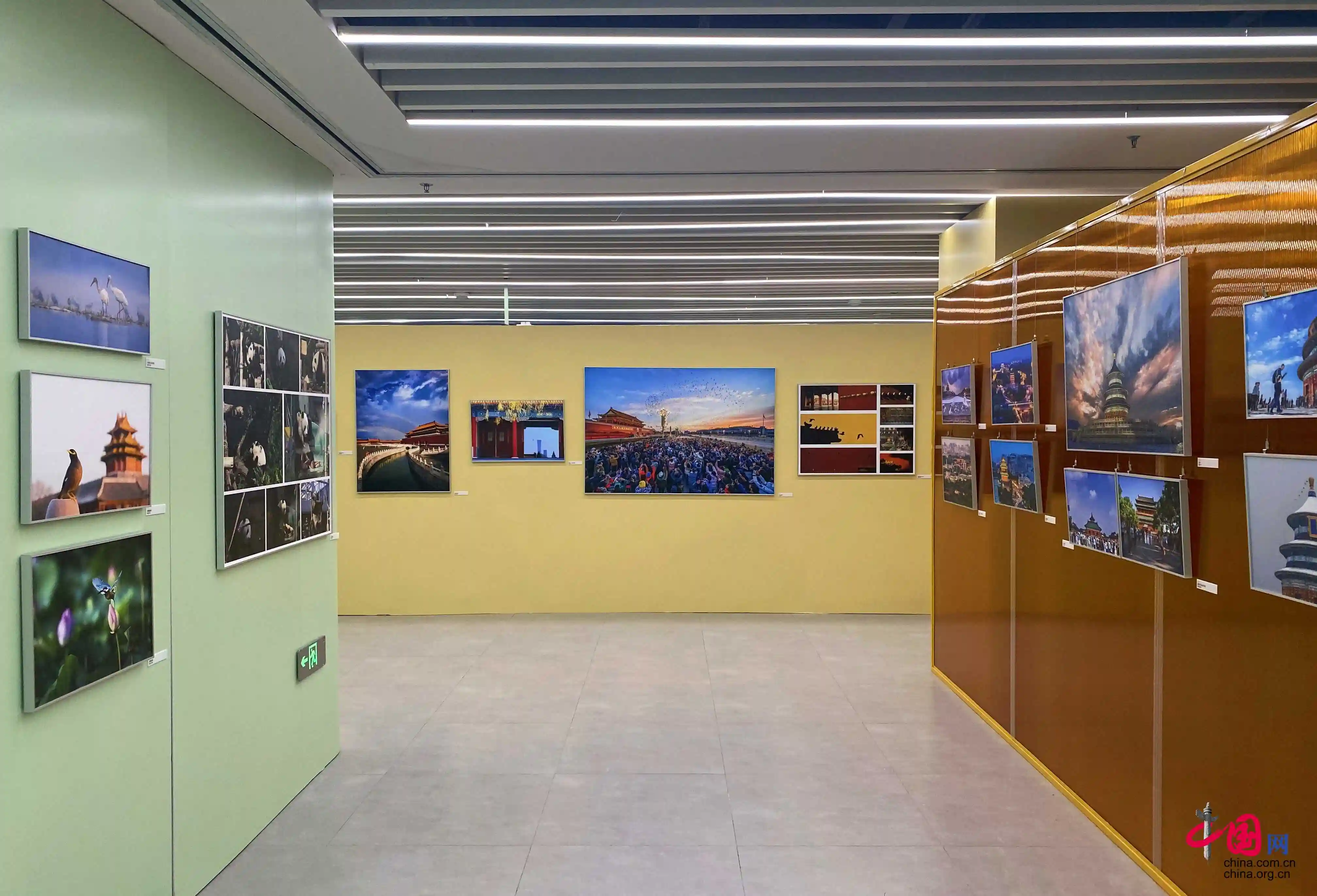 京·彩定格计划启动！《你好，北京》摄影展惊艳开幕，用镜头解码千年古都的呼吸与心跳