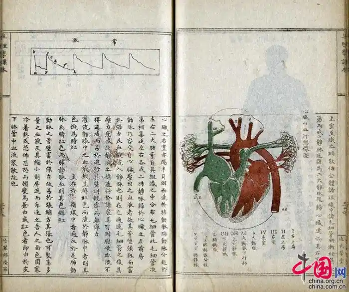 3748部古籍影像回归海外，中华文明瑰宝焕发新生机