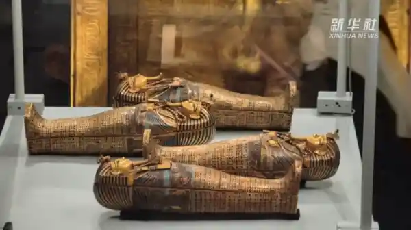 图坦卡蒙宝藏惊现大埃及博物馆，记者直击神秘之旅