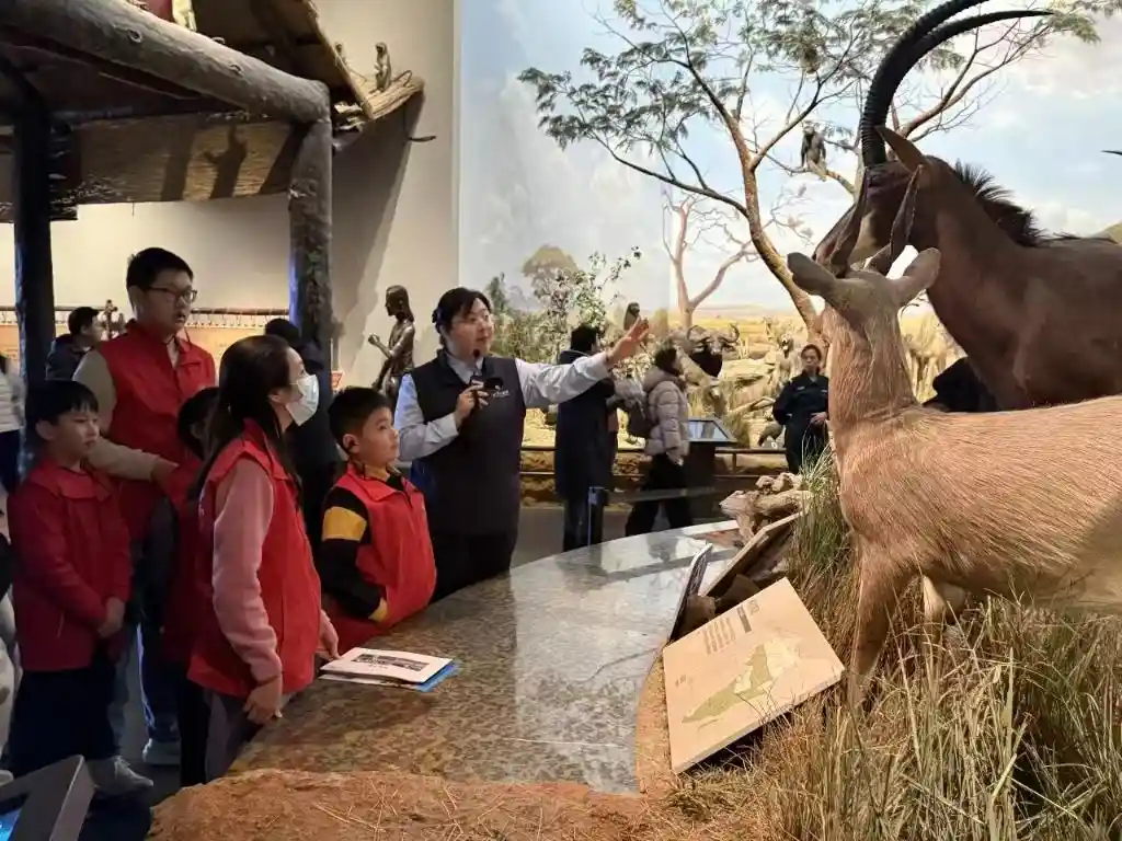 新春文博热！山东场馆人气爆棚引关注