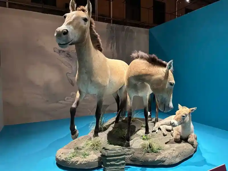 马上启幕：76件展品揭秘亿万年进化奇迹