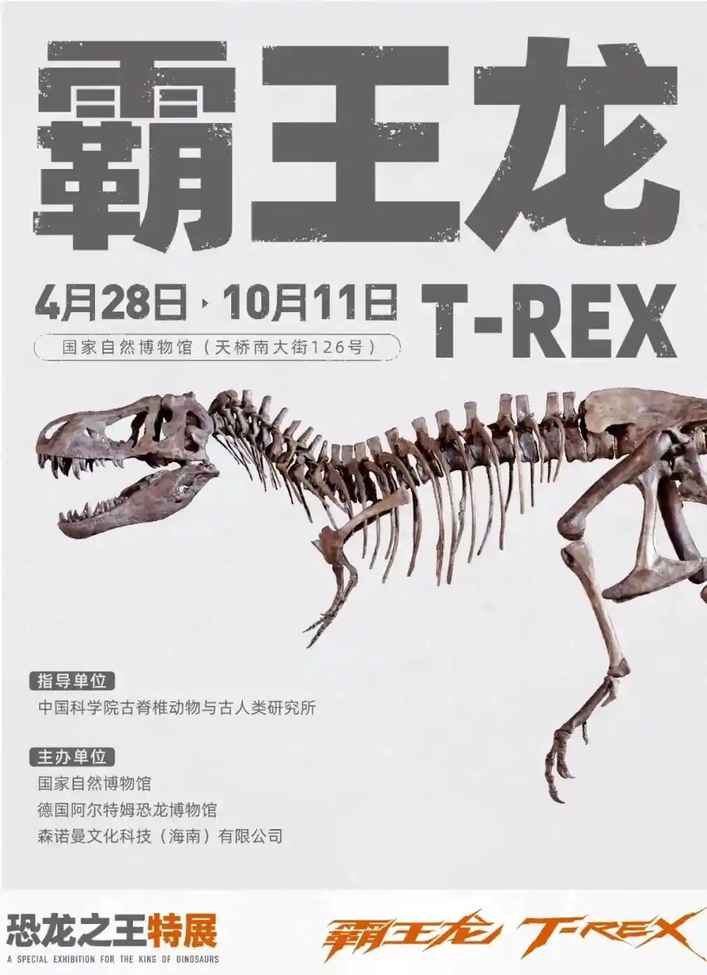 龙腾双域·暴龙觉醒：全球首次中外暴龙同台，中国暴龙家族震撼组团出道